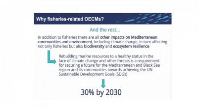 GFCM Expert meeting on fisheries-related other effective area-based conservation measures (OECMs) in the Med