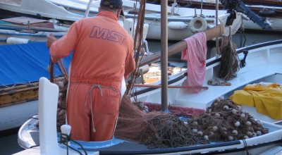 Dictamen de MEDAC sobre la situación socioeconómica del sector pesquero mediterráneo