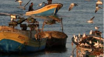 GT 1: Impacto de la legislación europea sobre la pesca mediterránea - 2013