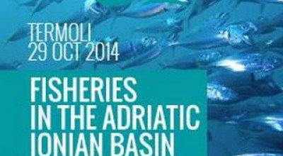 Quale Futuro Per La Pesca N Bacino Adriatico-Ionico?