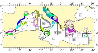 GT 1: Impacto de la legislación europea sobre la pesca mediterránea - REGIONALIZACION