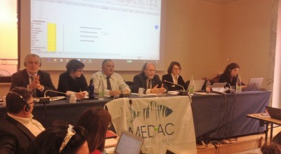 Asamblea Electiva 2017