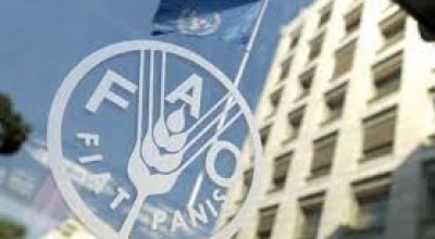 GFCM SRC-EM & SRC-CM Subregional Committee for the Eastern and Central Mediterranean