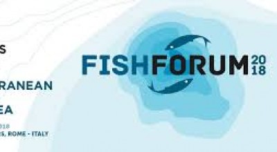 FISHFORUM 2018