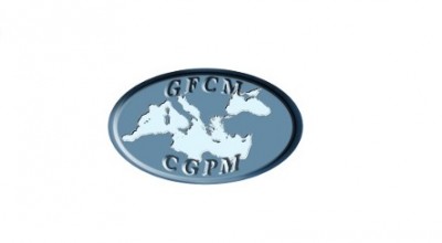 High-level event on advancing the RPOA-SSF in the context of the GFCM 2030 Strategy