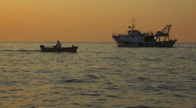 GFCM Working Group on Recreational Fisheries (WG-RF)