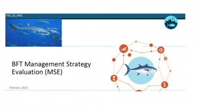 2022 AMBASSADORS WEBINARS ON BFT MSE