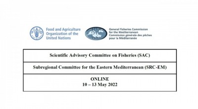 GFCM Subregional Committee for the eastern Mediterranean (SRC-EM)