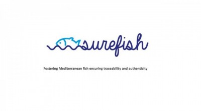 Surefish - 4th General Meeting